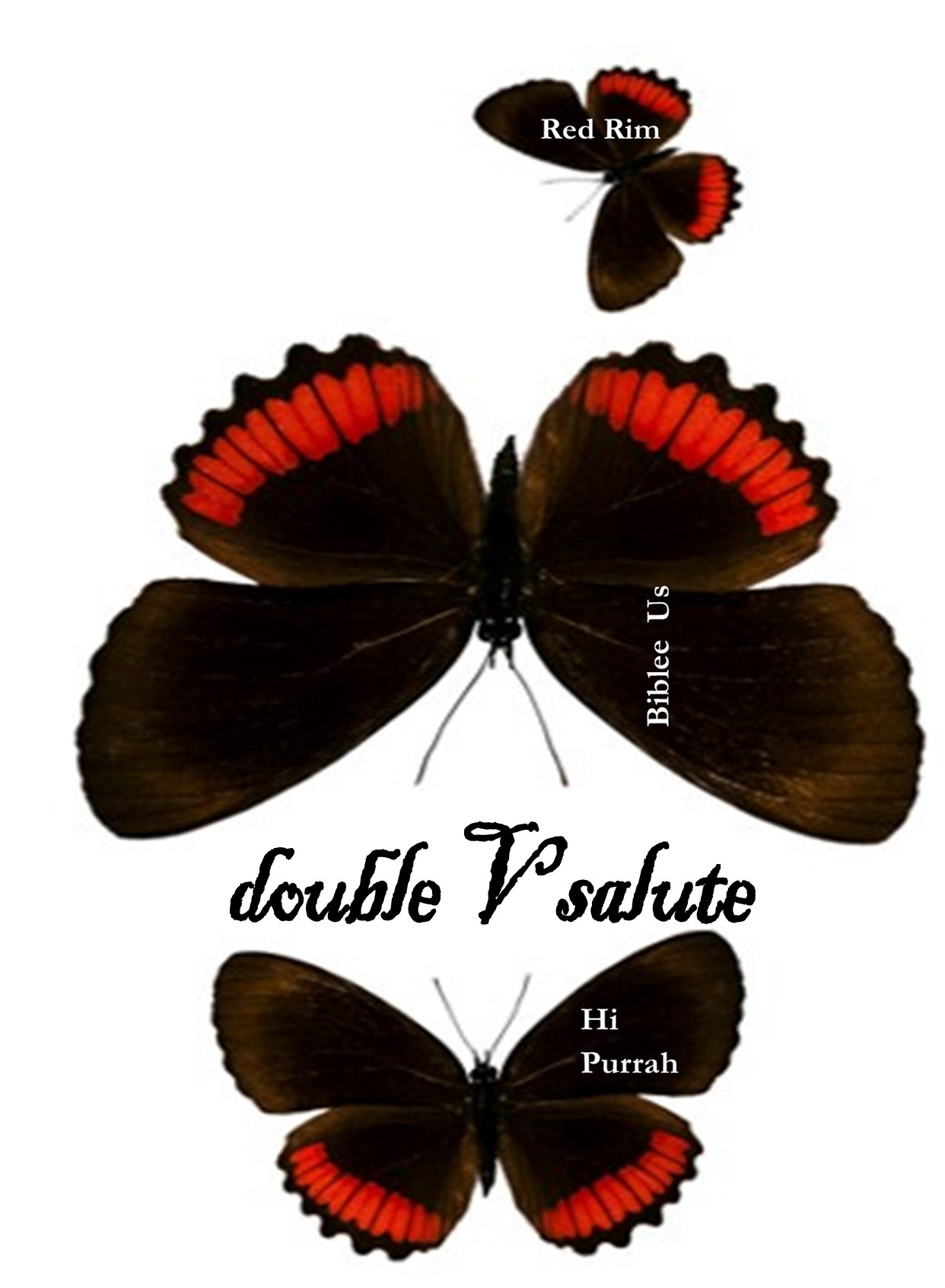 Double V Salute